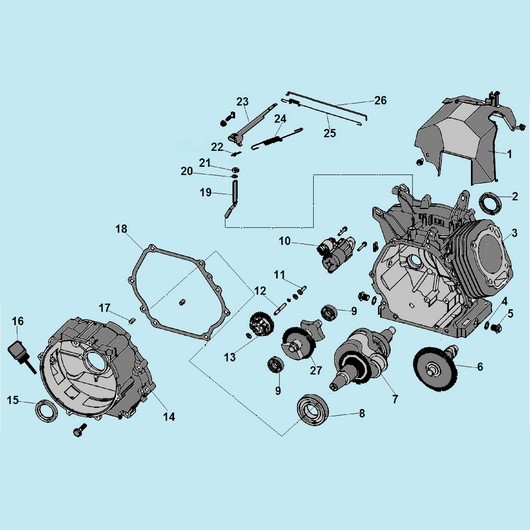 Картер, распредвал и коленвал Champion G420HCE