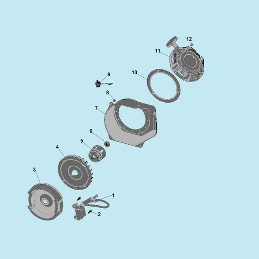 Магнето и маховик Champion GP55