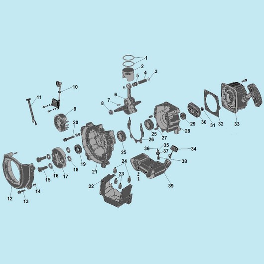 Картер и стартер Champion LMH4412