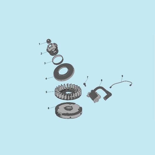 Магнето и маховик Champion LMH5640