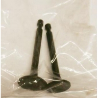 Клапан G120HK комплект 2 шт.