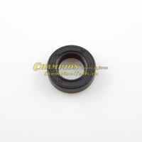 Сальник 13х22х6 коленвала PS257, GBR357 сторона стартера