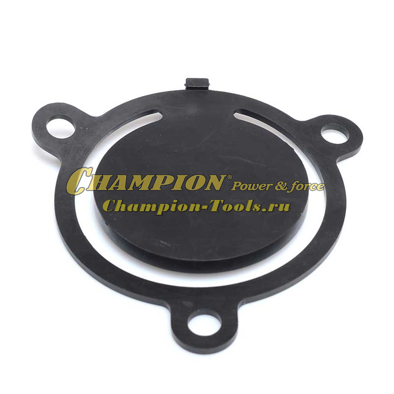 Клапан помпы обратный  GTP80H - 039090501100