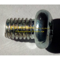 Винт крепления троса газа 4х6 (все гор. двигатели)