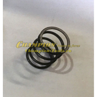 Пружина клапана GG2800, 3300, GP50, 55, 80, GTP80
