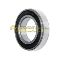 Подшипник 6007 вала колеса фрикциона GS5562