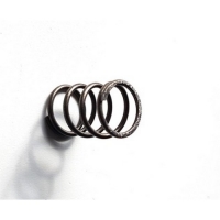 Пружина клапана T374FS