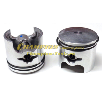 Поршень 241 в сборе