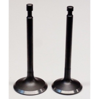 Клапан G340VKE комплект 2 шт. (замена на 12110-Z320110-00A0)