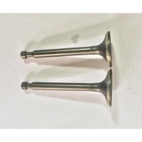 Клапан 25+24 ST556 ST655 ST656 ST762Е GS5562 комплект 2 шт. замена на DC00F006 + DAF006