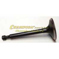 Клапан впускной LM4630, 4840, 5130, 5131, 5345, 5346E замена на DCF007