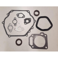 Набор уплотнений двигателя G270F