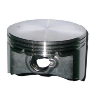 Поршень 75х45 мм G250HK