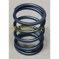 Пружина клапана G110VK ( нов.арт.12103-Z350110-00A0 )