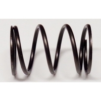 Пружина клапана G180HK, 201HK, 210HK, 210HT ( замена на 12103-Z010110-00A0 )