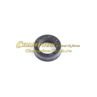 Сальник поршня HP5160 12х18х5,1 мм