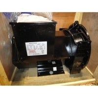 Генератор в сборе DG20000ES-3