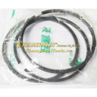 Кольцо поршневое 100 мм DG10 ( комплект)