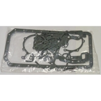 Набор уплотнений двигателя DG15