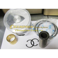 Поршень 100х102 мм DG10 комплект старого образца