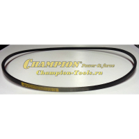 Ремень вентилятора DG10 10х7х1120