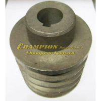 Шкив ремня альтернатора DG10