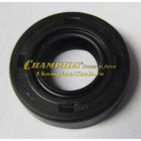 Сальник 17х30х6 коленвала PS282, GG1000, GP40 ( 2019 ) см.90682-Z510110-00A0