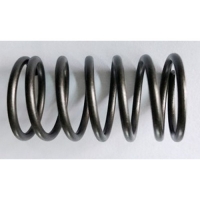 Пружина клапана LMH5629