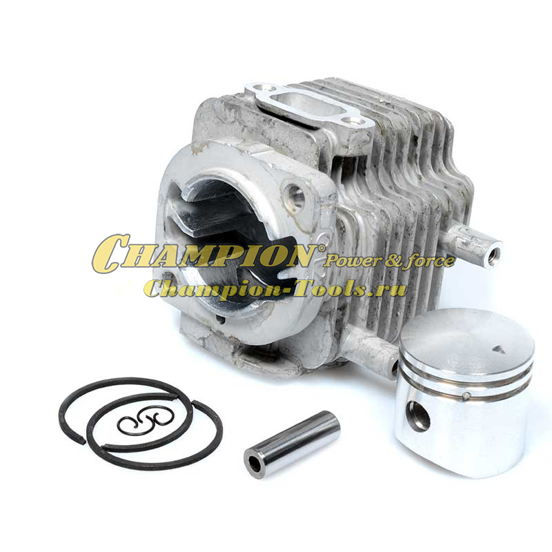 Поршневая группа Echo GT22GES и Echo SRM22GES