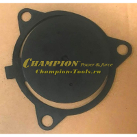 Клапан помпы GP80 обратный