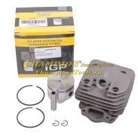 Поршневая группа для бензопил 6200 48 мм с подшипником 10х15х10 (Champion 256 362) (аналог артикул 030501016)