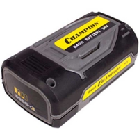 Аккумулятор Champion B401