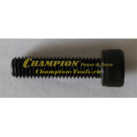 Болт крепления цилиндра 125, 137, 142, 237, 241, 246, 55, 250, 251, 256, 350, 362 М5х20 см. 5010080522