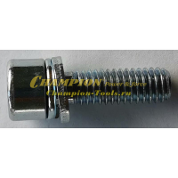 Винт крепления корпуса сцепления T437,517 (М6*1,0*20)