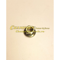 Гайка крепления опоры рамы GG2000, 3000, 3301, 3301C, 6500, LPG2500