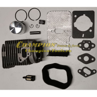 Поршневая группа PS227 ремкомплект 31мм