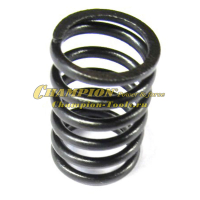 Пружина клапана DG2200 UD170