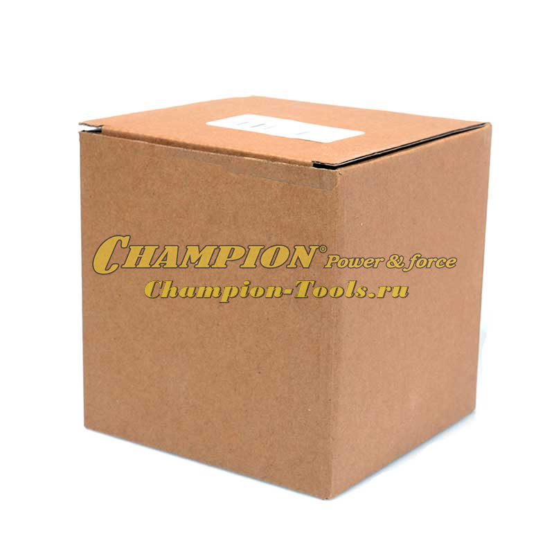 Поршневая группа CP400