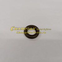 Сальник  17х28х5 коленвала CP400 - 3060800110