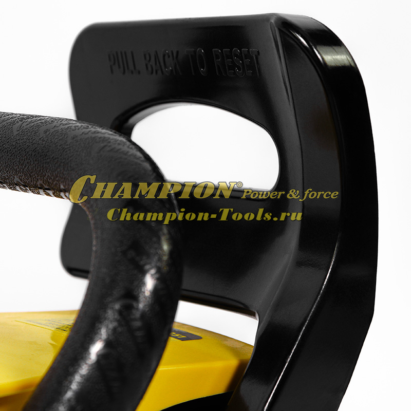 Бензопила Champion 251-15