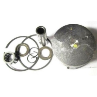 Поршень 55 в сборе 45,2 мм