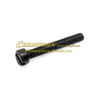 Винт натяжителя цепи 118, 420, 422