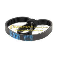 Ремень 5PJ163(414) для Champion BC4401 после с/н 28022000001